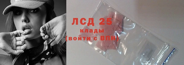 apvp Бородино